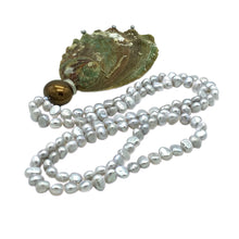 Load image into Gallery viewer, Pearl in Oyster Shell Necklace
